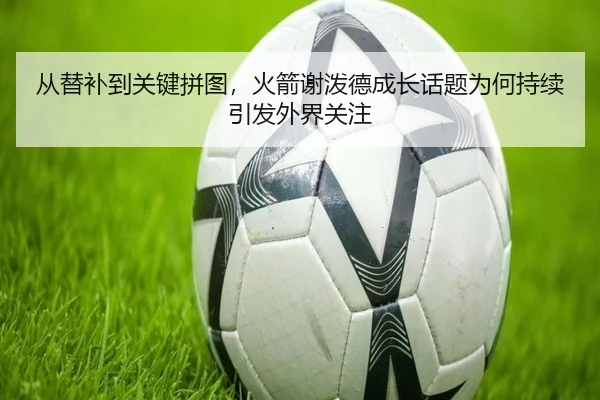 从替补到关键拼图，火箭谢泼德成长话题为何持续引发外界关注 | MAIQIU